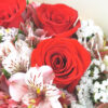 Ramo de 12 ROSAS ROJAS y astromelias - Imagen 2